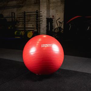 Купить Гимнастический мяч Yousteel Hard 55см в Судже 